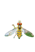 Eastern Calligrapher Fly